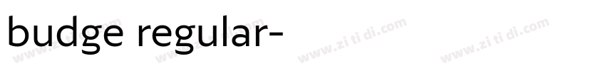 budge regular字体转换